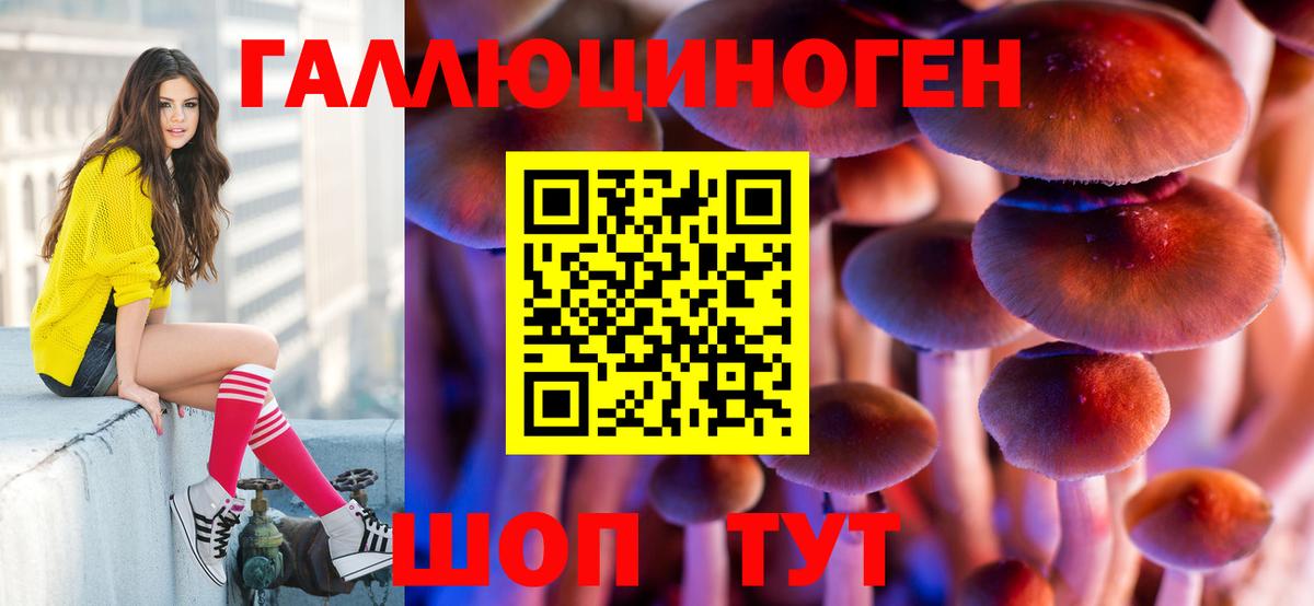 где продают   Вход с VPN  Киселёвск  Псилоцибиновые грибы Psilocybine cubensis 